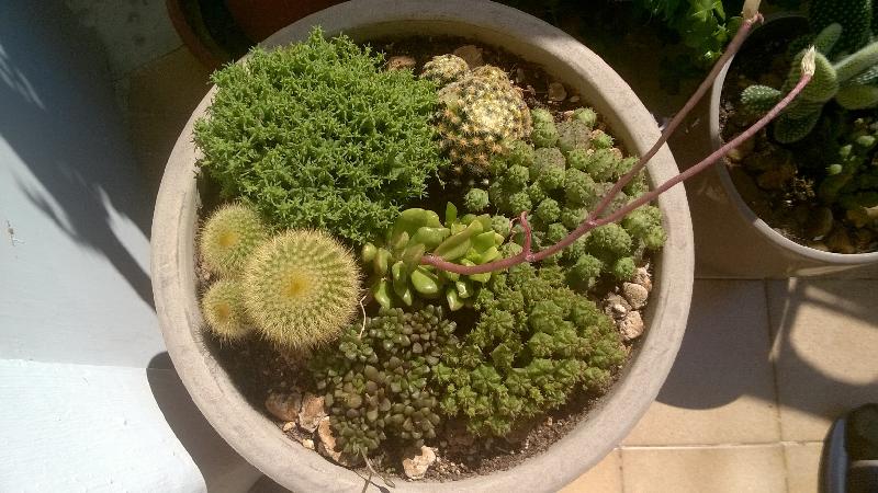 WP_20180821_11_40_00_Pro.jpg